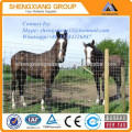 Hot Dipped Galvanized Horse Fence Hot Sale (TUV Rheinland)